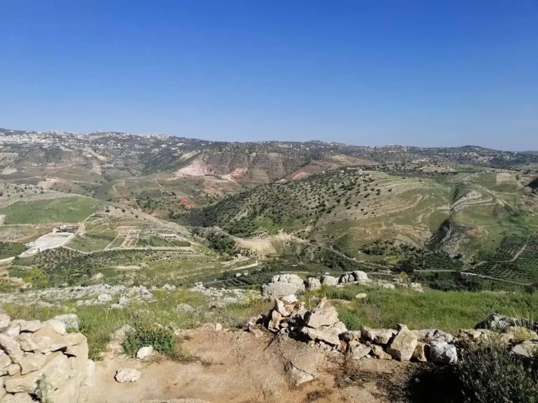 مزرعة للبيع بسعر مميز