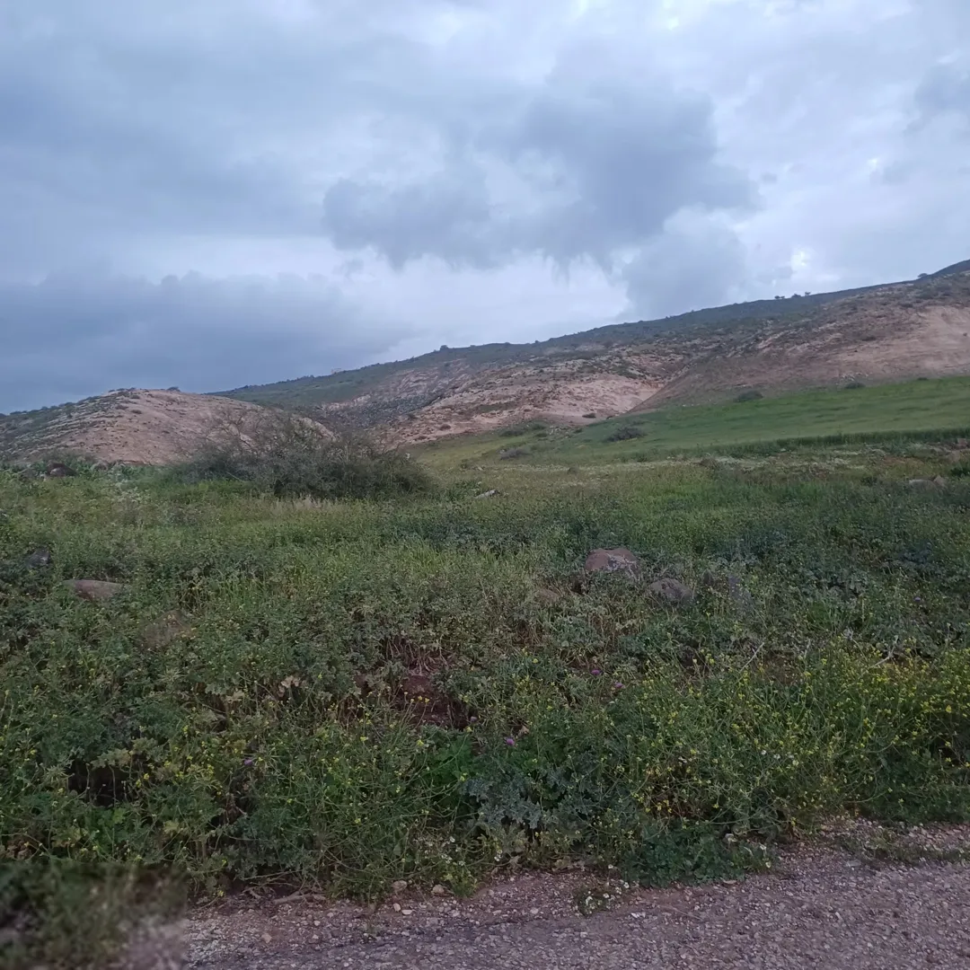 أراضي زراعية للبيع في الشونة الشمالية – إربد
