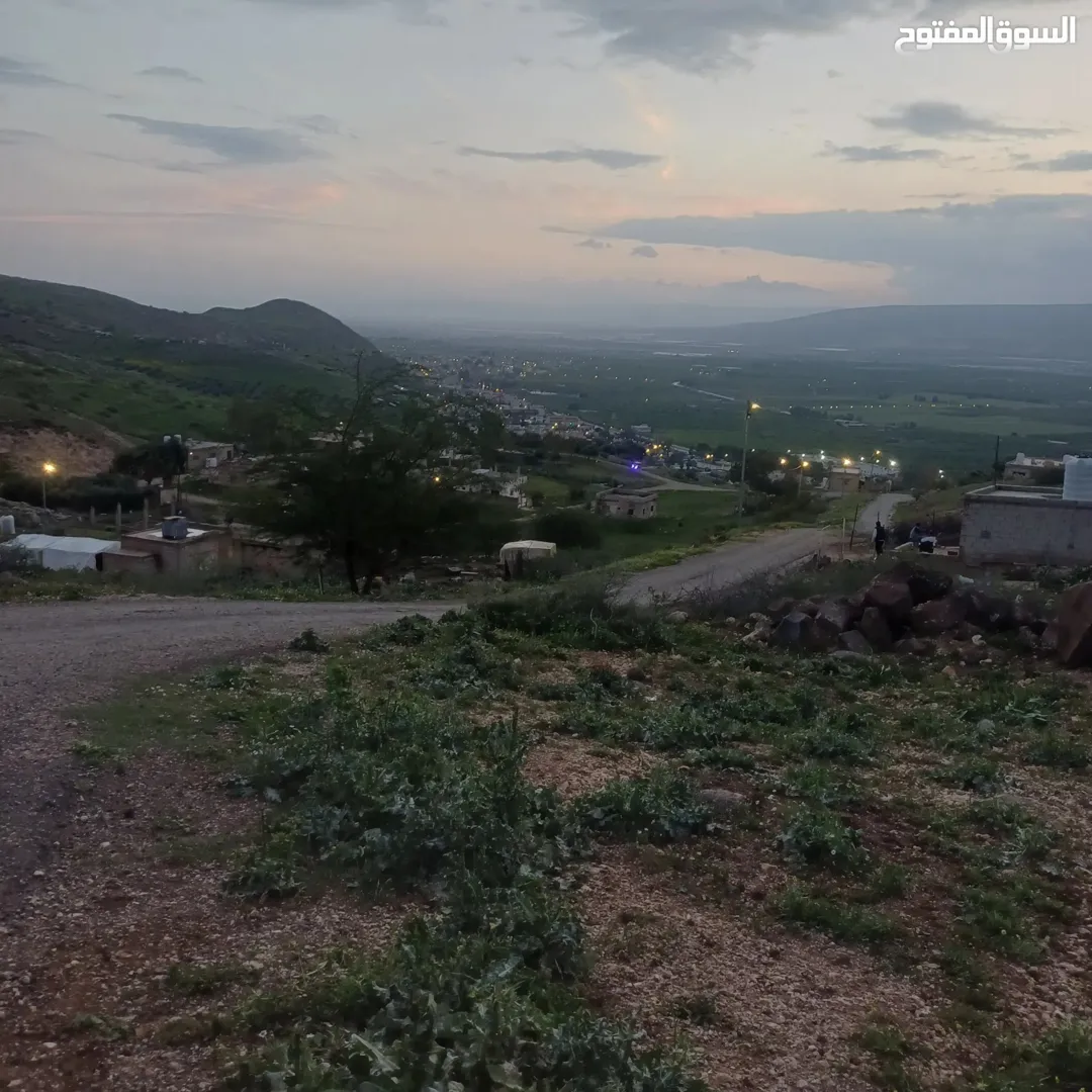 أراضي زراعية للبيع في الشونة الشمالية – إربد