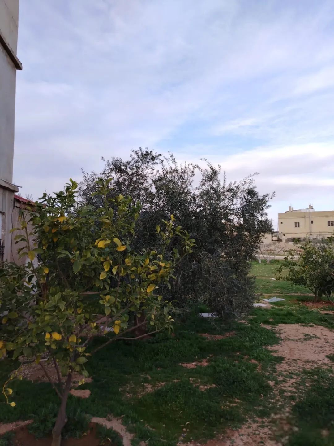 بيت مستقل طابقين الطابق الثاني شقتين والطابق الثالث روف بحاجه لصيانه ويوجد ثلاث مخازن