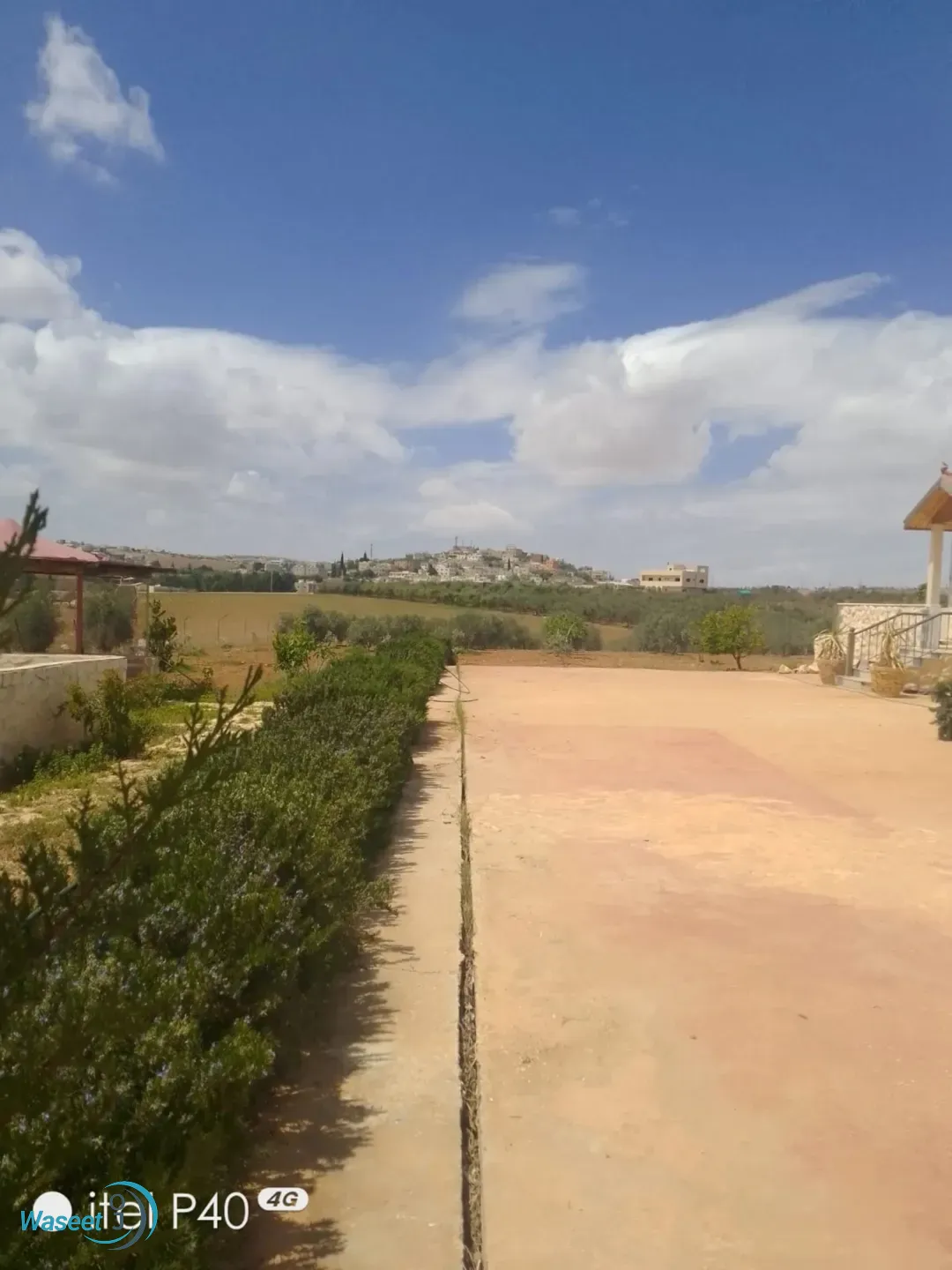 مزرعة للبيع