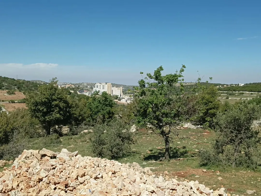 أرض مميزة للبيع في عبين بمحافظة عجلون