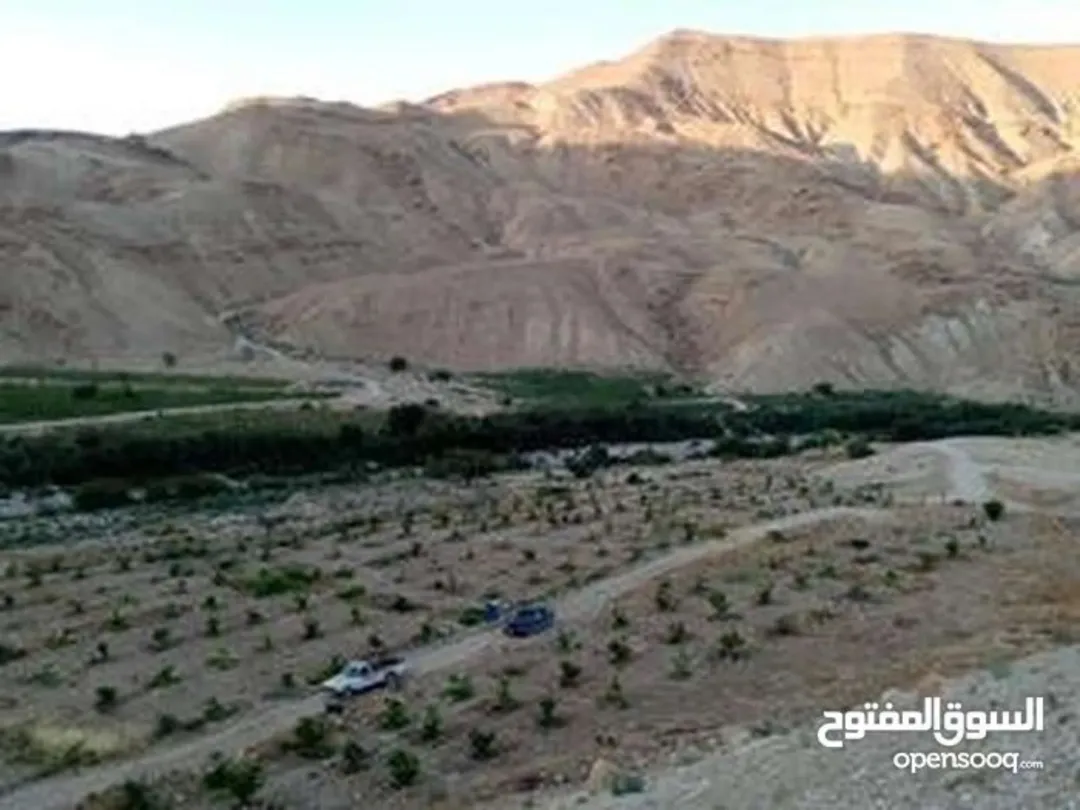 قطعة أرض مميزة للبيع في الكرك قريبة من سد الموجب