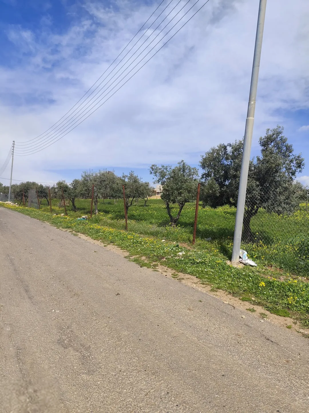 Plots of land of 500 m² in Naour, Hisban