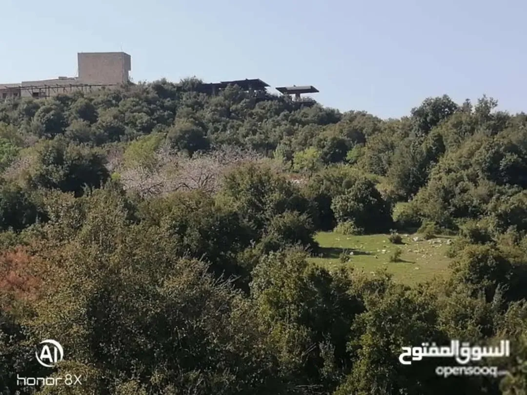 أرض مميزة للبيع بجانب المحمية الملكية في عجلون