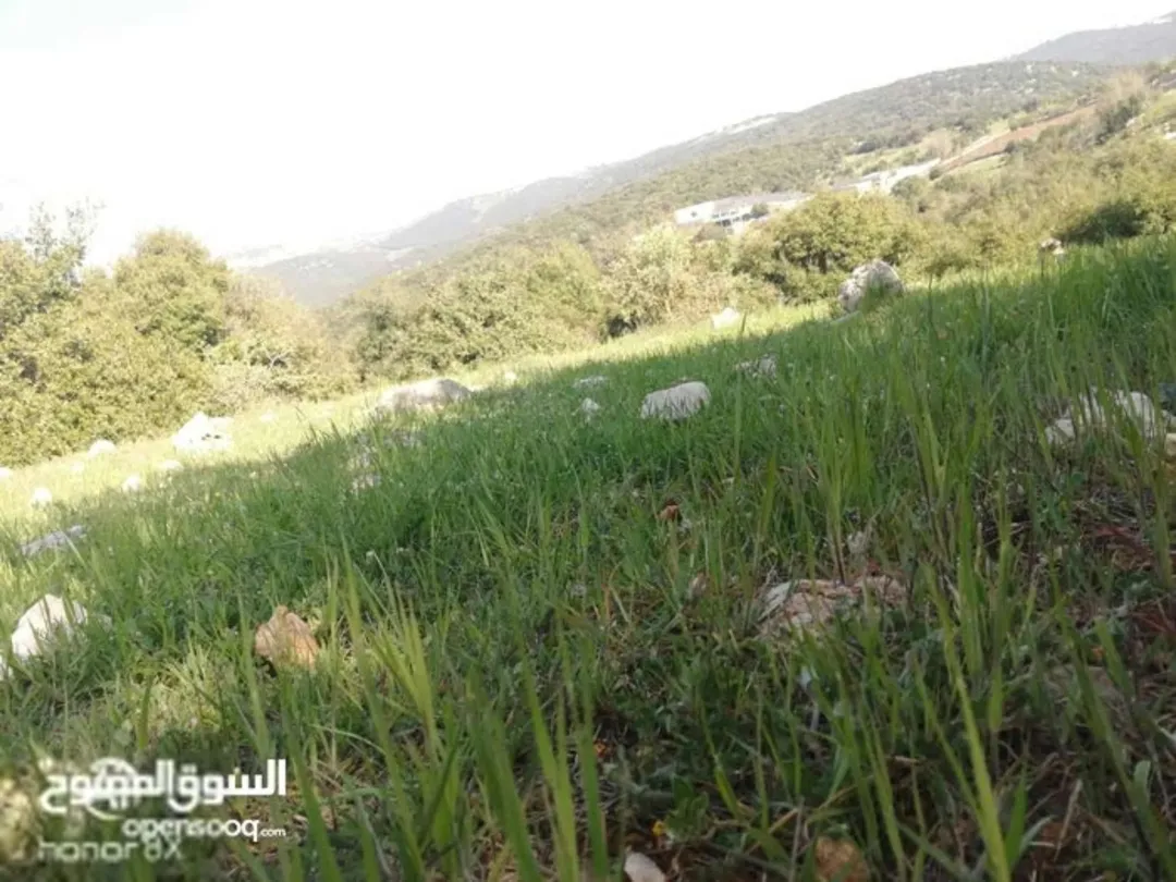 أرض مميزة للبيع بجانب المحمية الملكية في عجلون