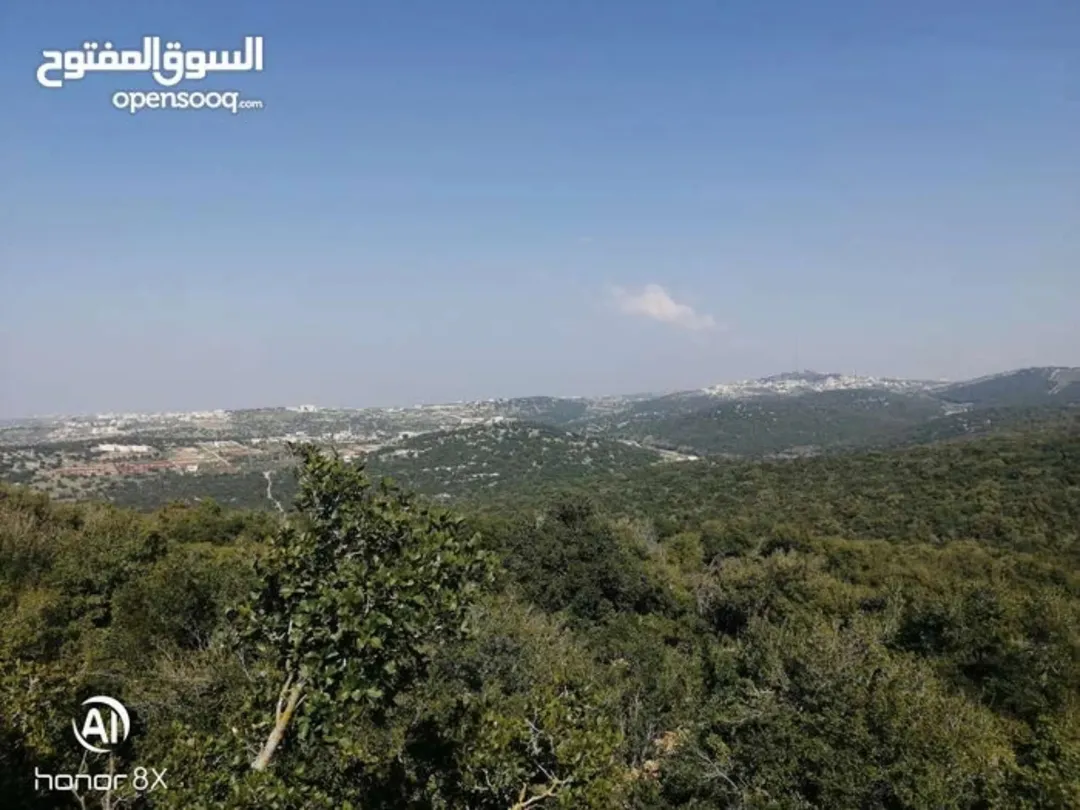 أرض مميزة للبيع بجانب المحمية الملكية في عجلون