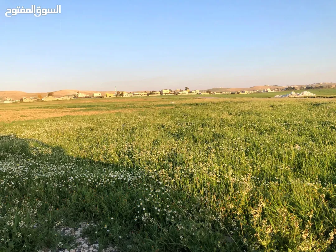 قطعة أرض للبيع في الموقر – النقيرة