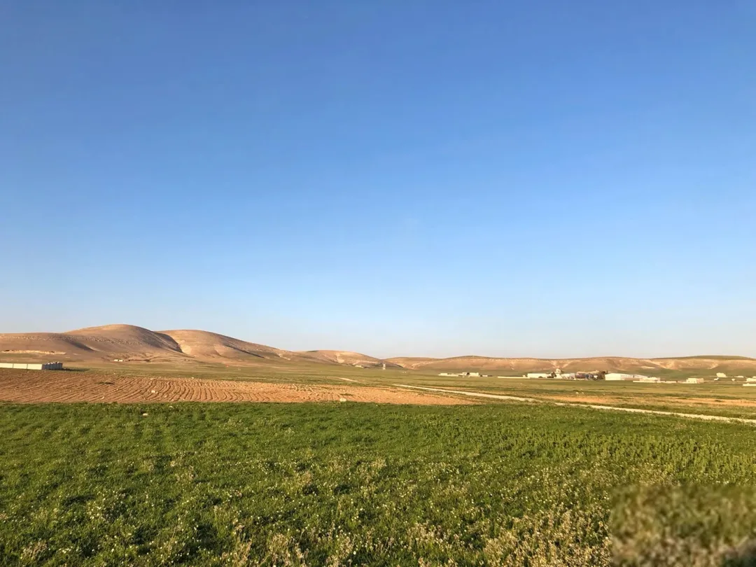 قطعة أرض للبيع في الموقر – النقيرة