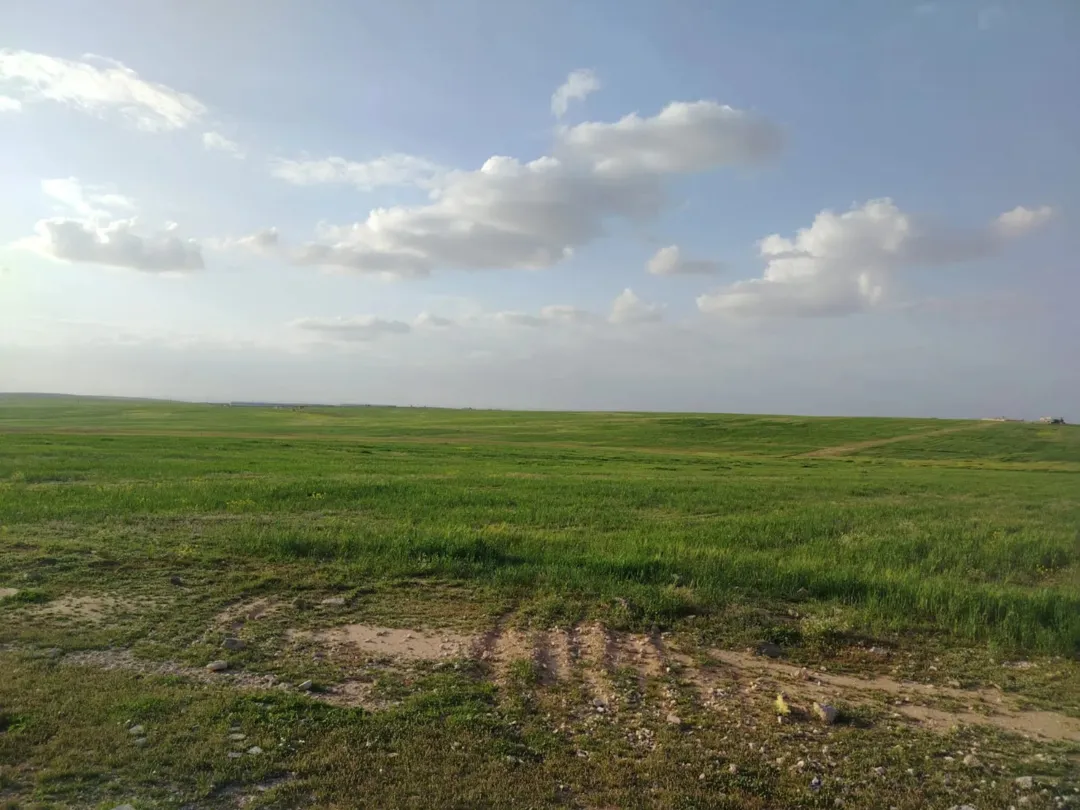 ارض للبيع بسعر مغري