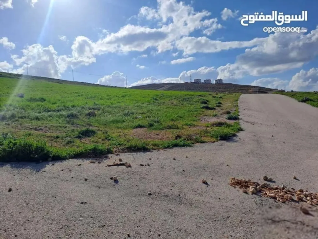 قطعة ارض جريبا اسكان الارقم مميزة على شارعين