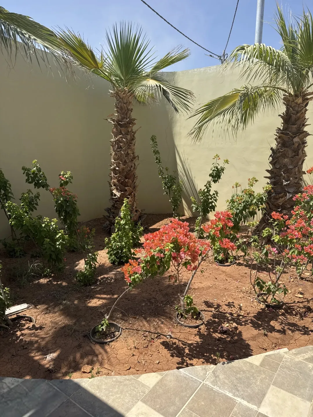 لبيع بداسعار ولا بالخيال نار نار نار شاليه فخم جداً في البحر الميت تشطيب ممتاز منطقه VIP بدفعه اولى