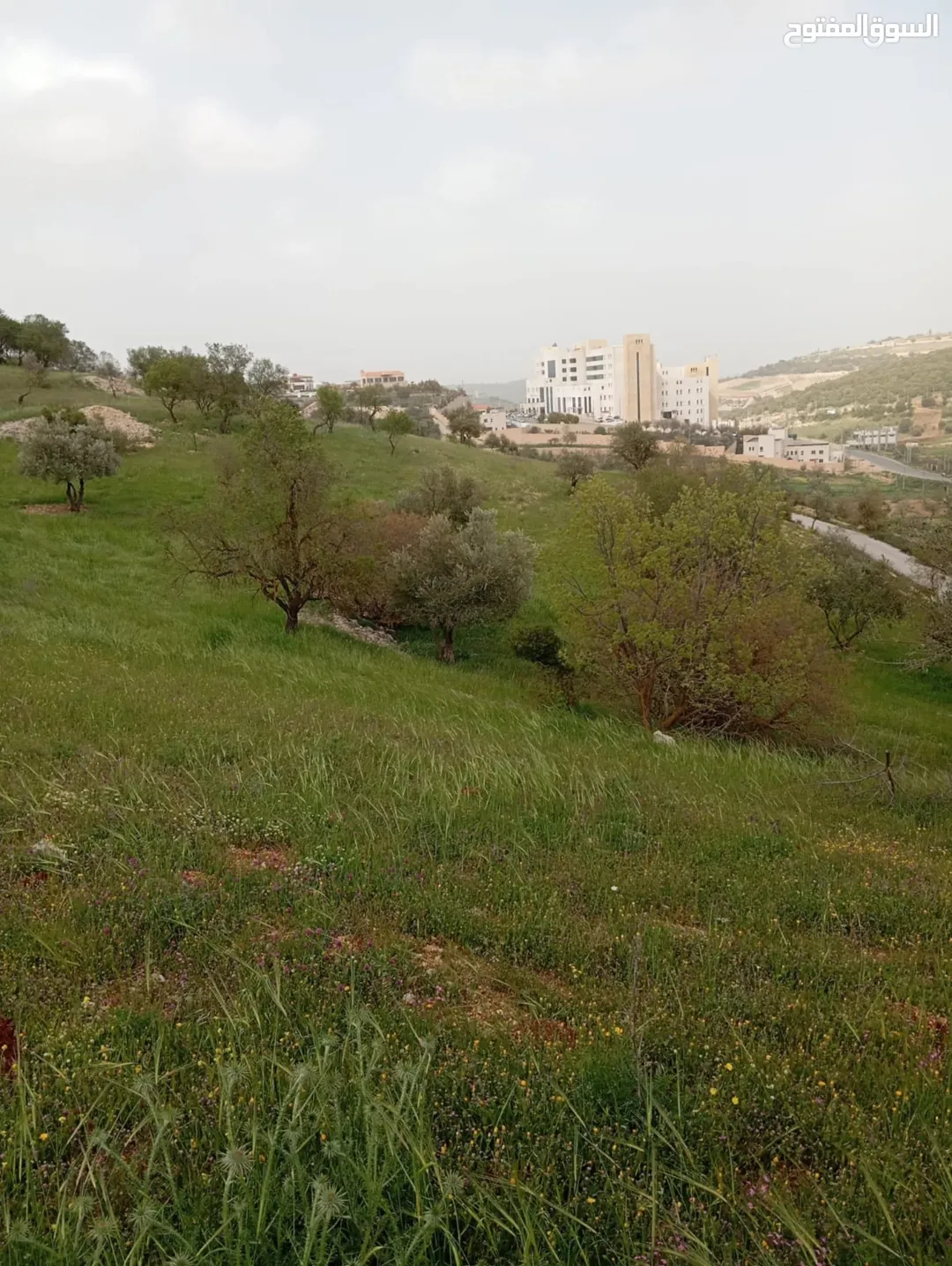 ارض للبيع في عبين بالقرب من مستشفى الأميرة هيا العسكري