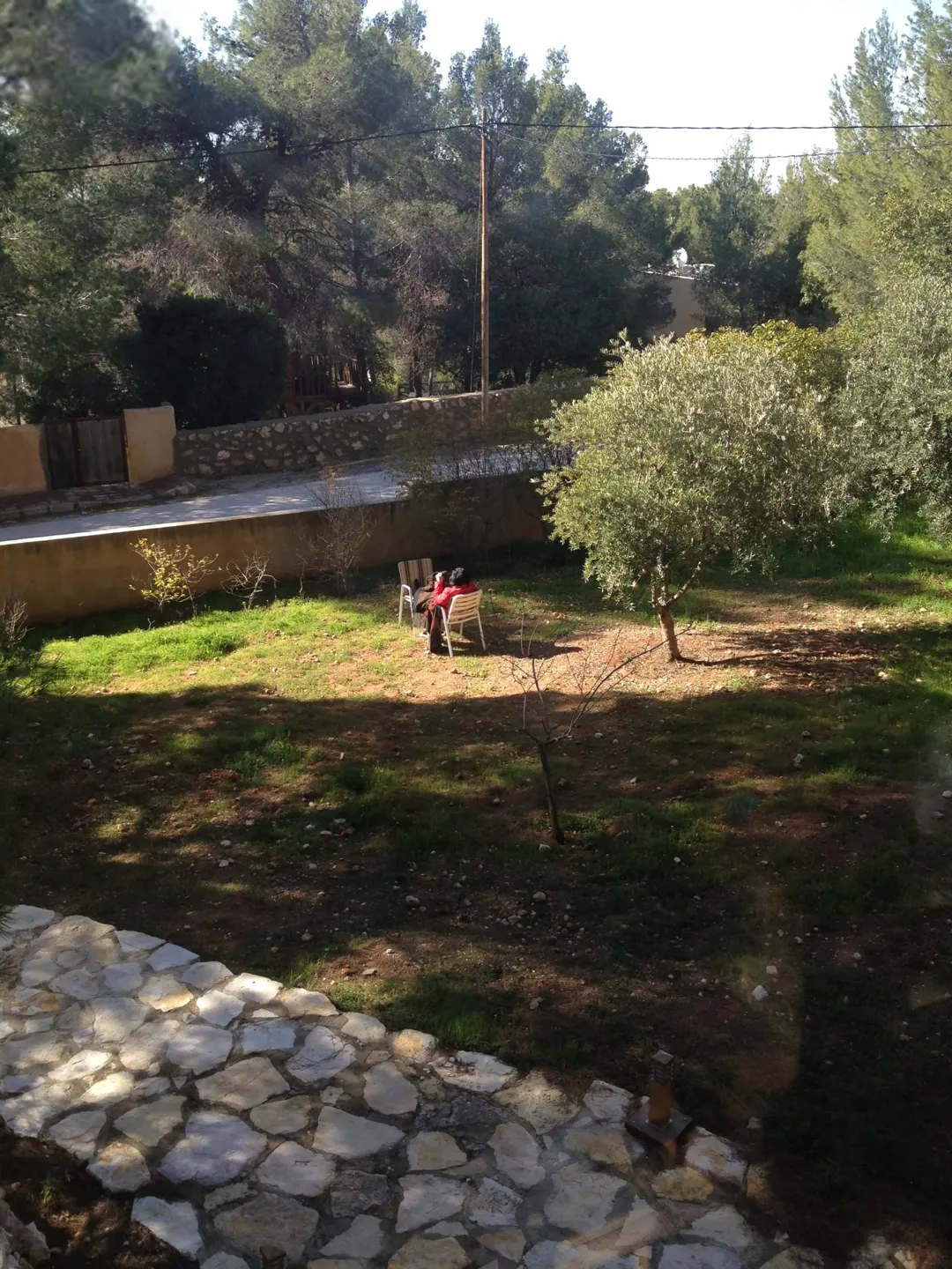 موقع فريد في قلب غابات دبين الحرجية مثالي لإنشاء منتجع فاخر