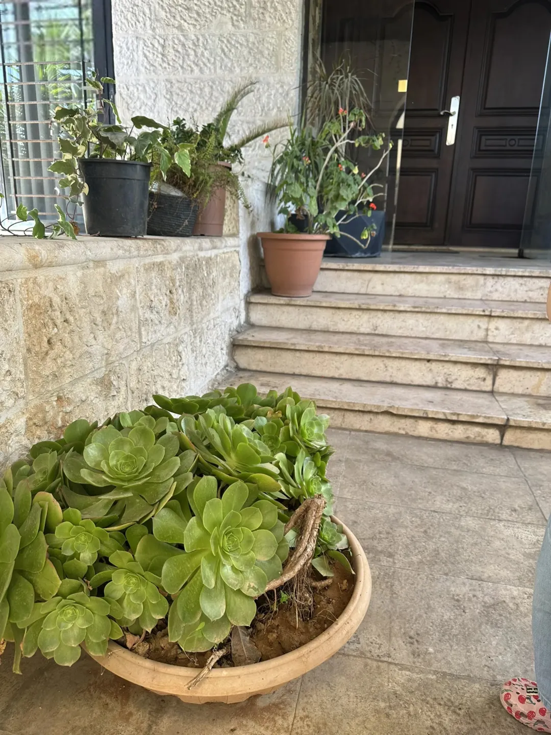 فيلا فاخرة للبيع في عبدون – شارع الملكة زين الشرف