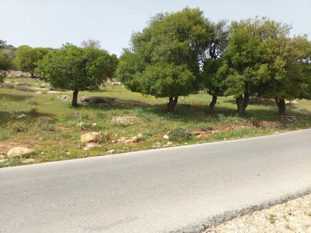 للبيع قطعة أرض مميزة في جرش قريبة من حسبان
