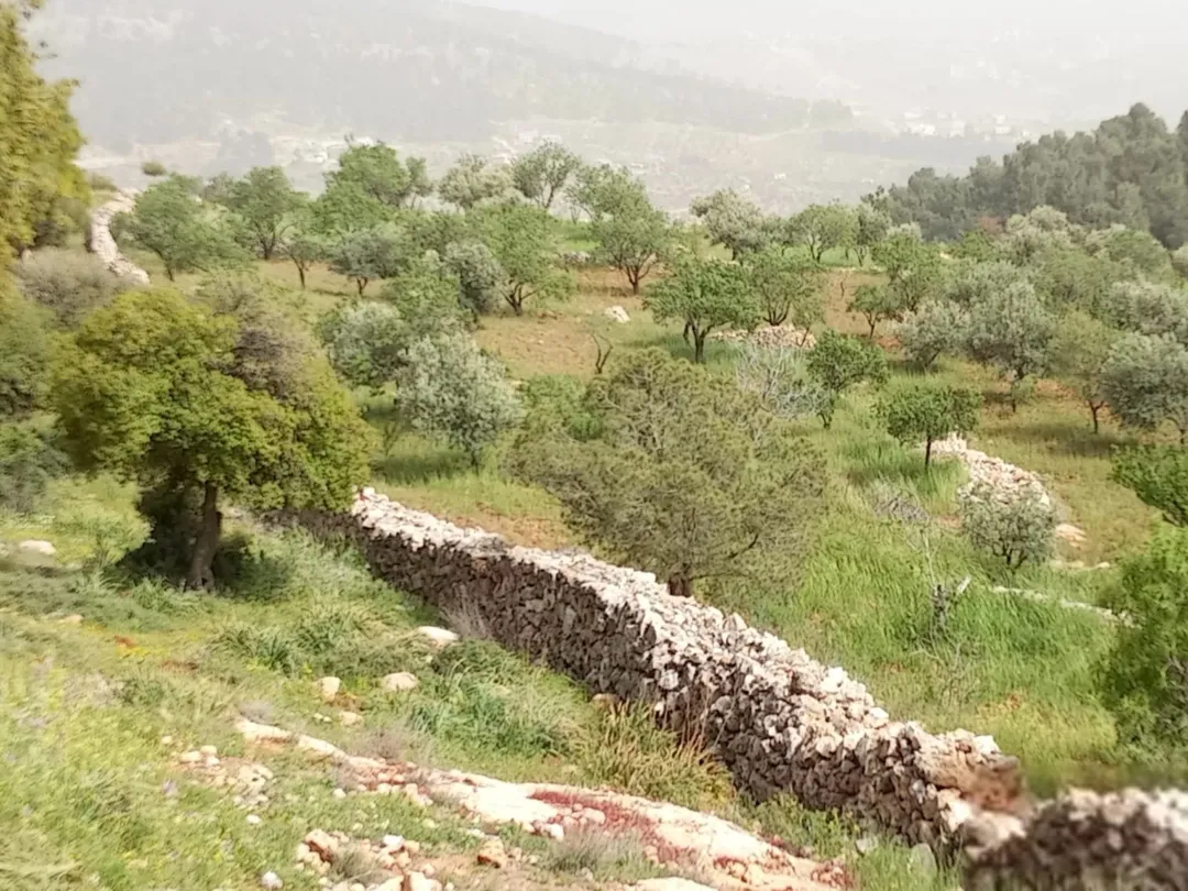 للبيع قطعة أرض مميزة في جرش قريبة من حسبان