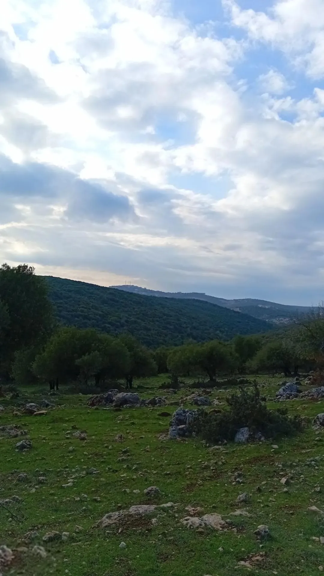 للبيع قطعه ارض مميزه في راس منيف مطله على الغابات وبيت البسكوت تصلح للمشاريع السياحيه
