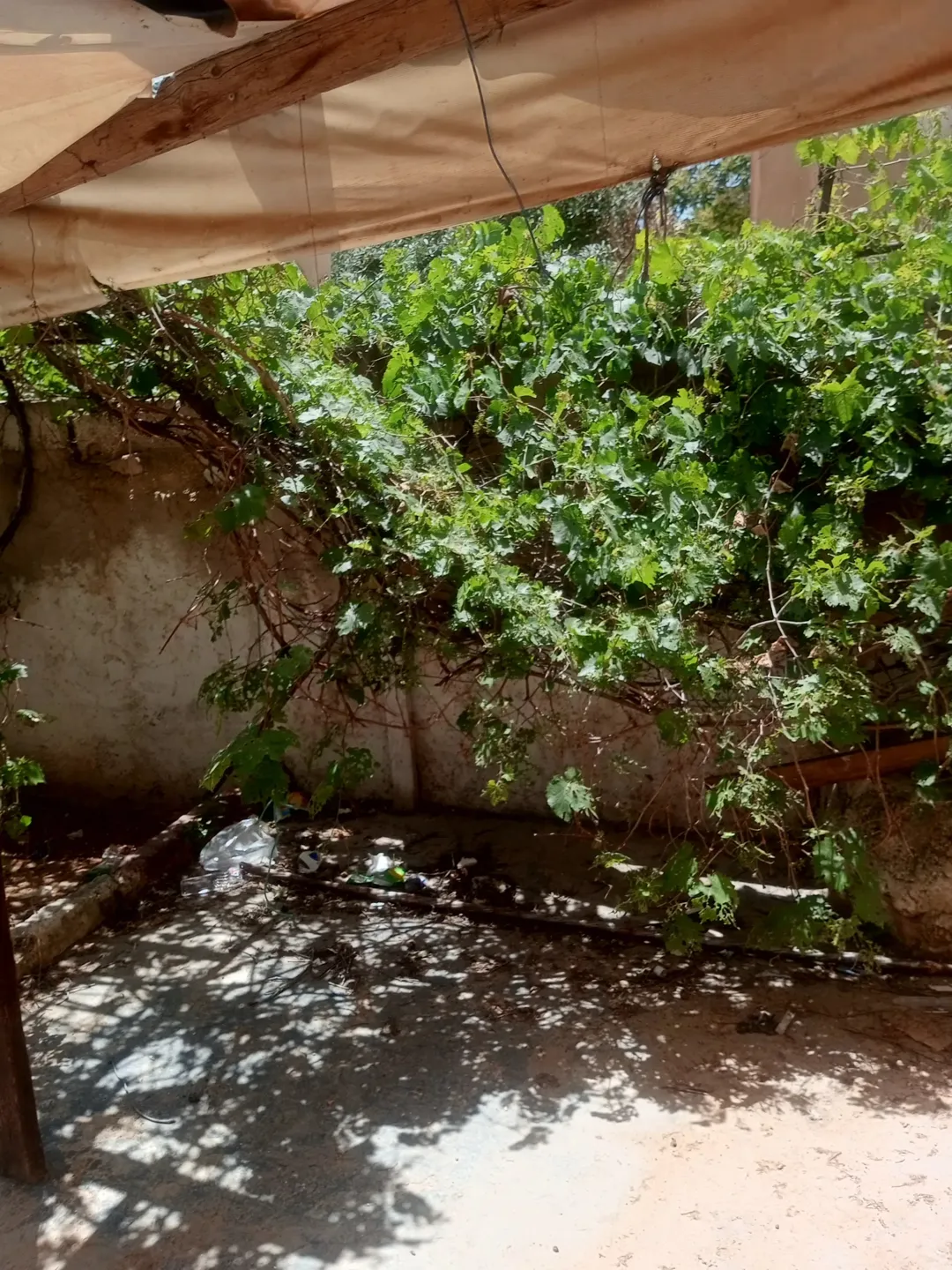 عمارة استثمارية مميزة للبيع في جبل النزهة