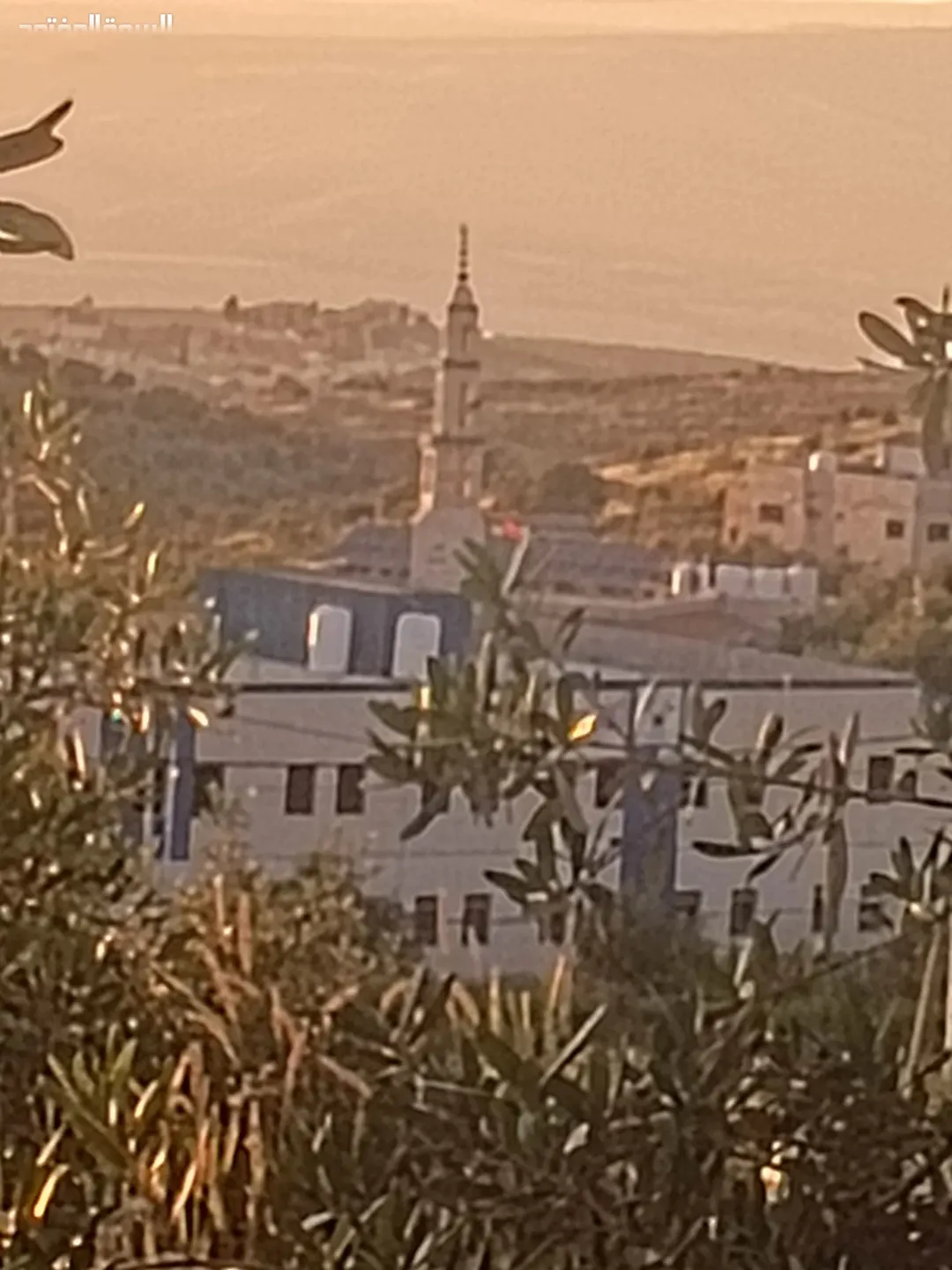 قطعة أرض للبيع في الأشرفية، لواء الكورة – إربد