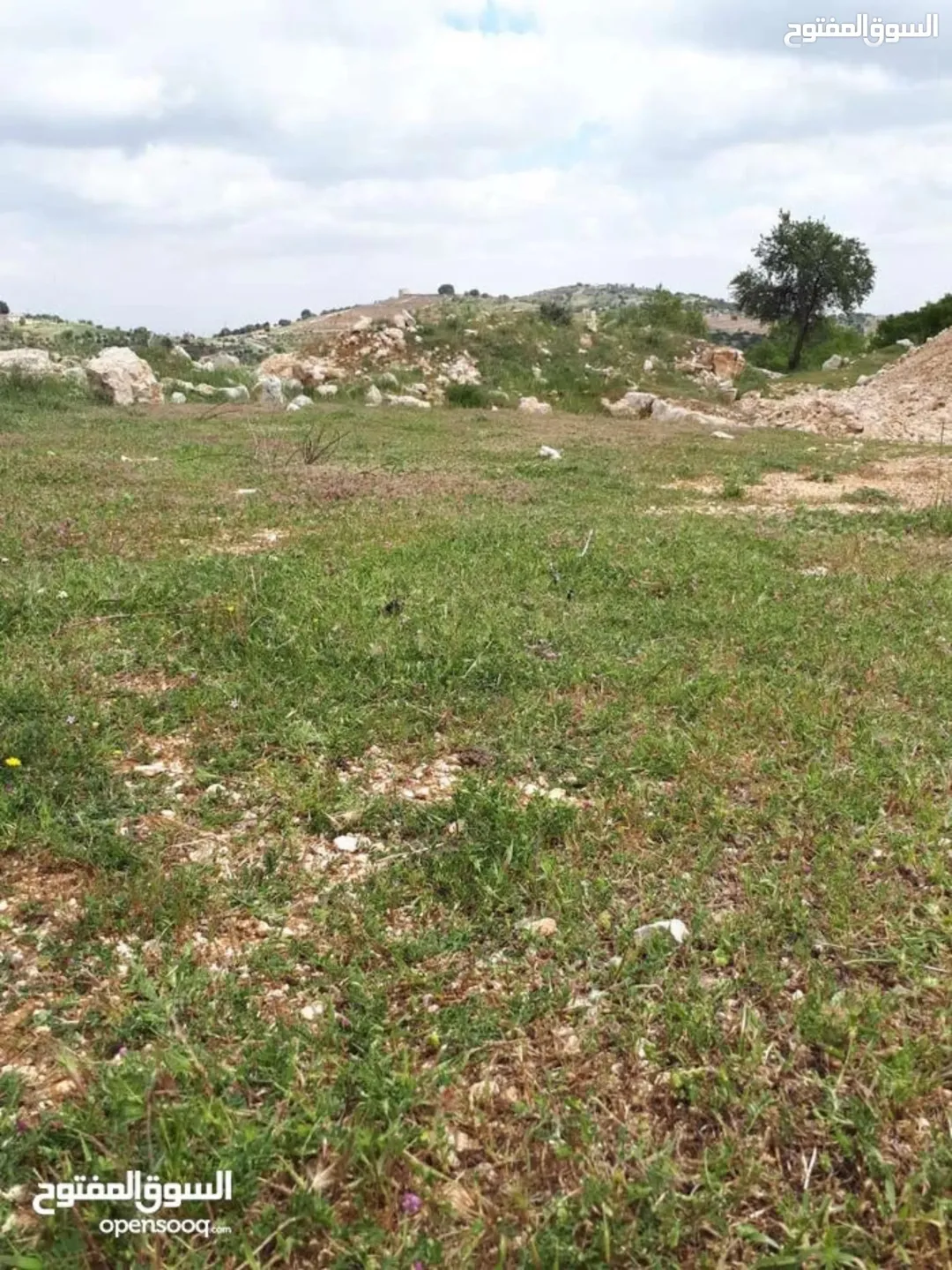 قطعتان متجاورتان في صخره نعيمة باطلالة خلابة وفرصة استثمارية