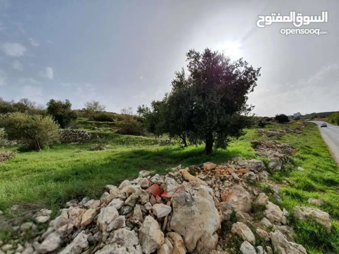 قطعتان متجاورتان في صخره نعيمة باطلالة خلابة وفرصة استثمارية