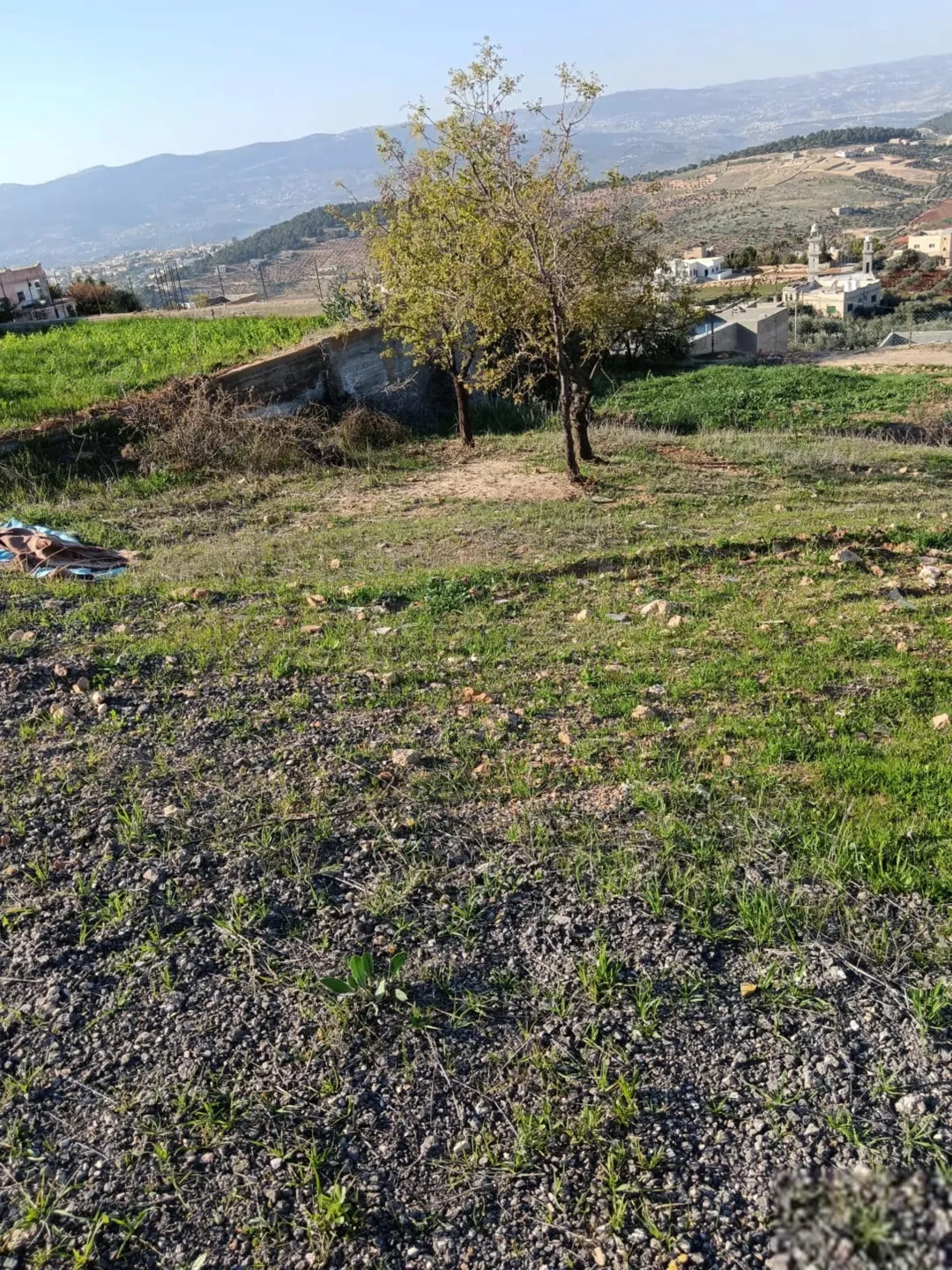 قطعة أرض لقطه للبيع