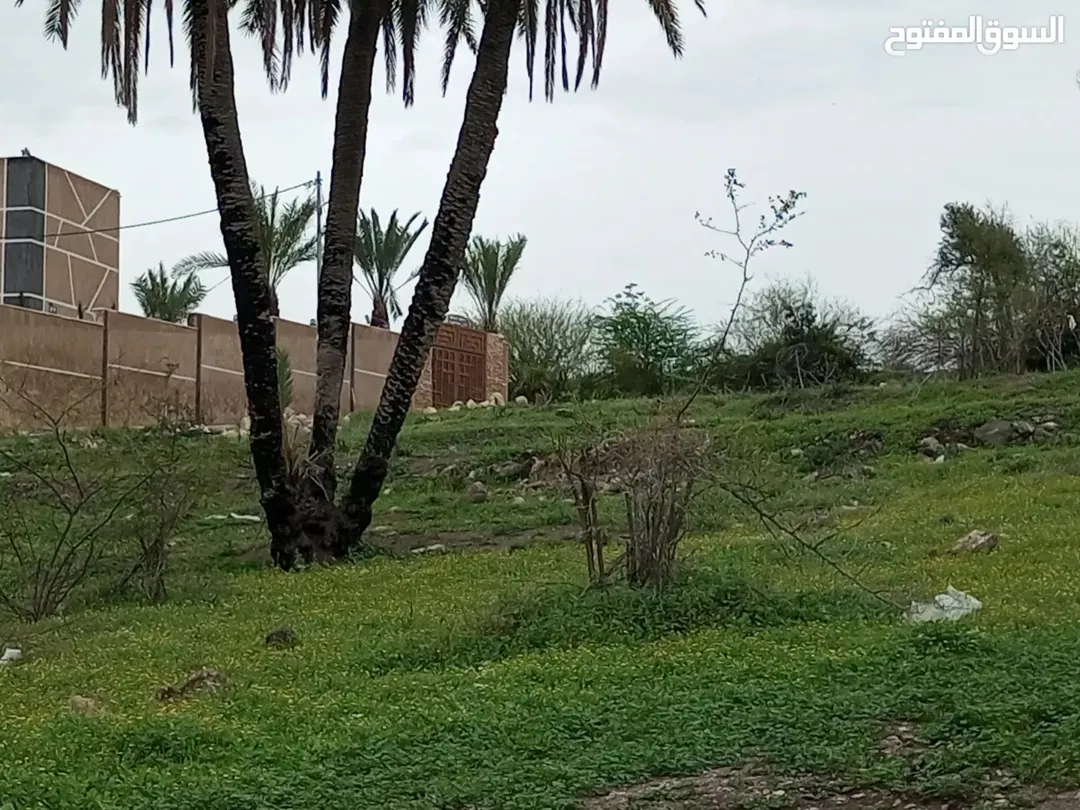 أرض للبيع في إربد بموقع استراتيجي وإطلالة بانورامية على فلسطين والنهر