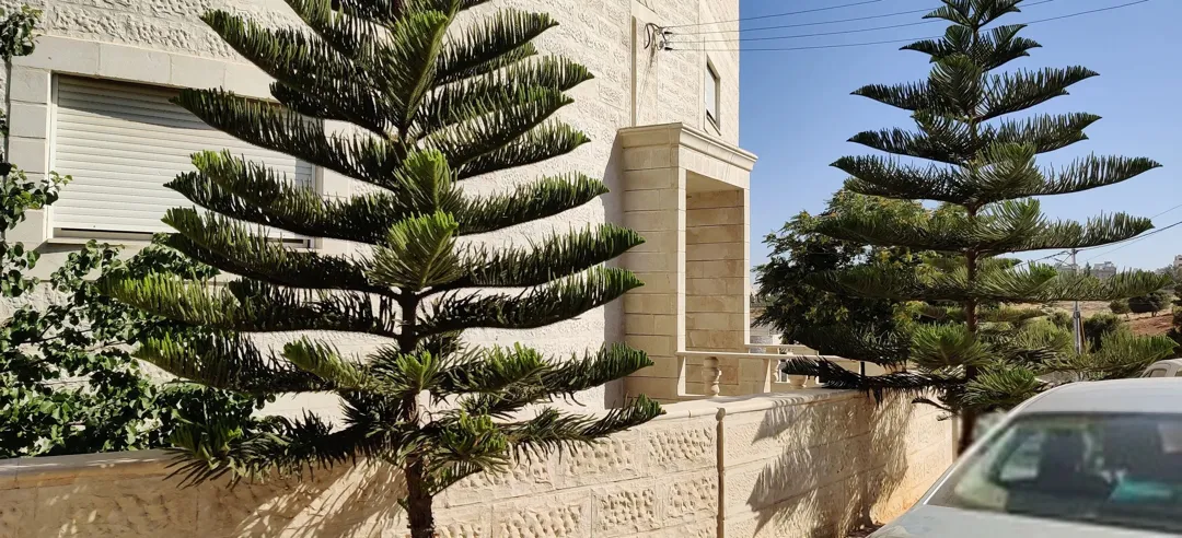 شقق مميزة للبيع في طبربور، حي الشهيد الجنوبي، عمان