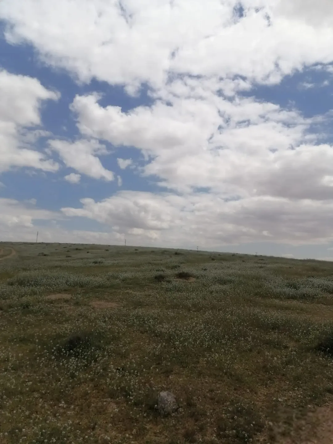 ارض للبيع صره الغدير الغربي