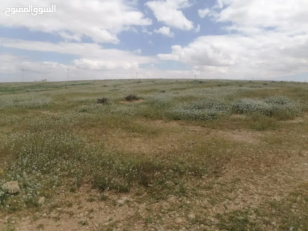 ارض للبيع صره الغدير الغربي