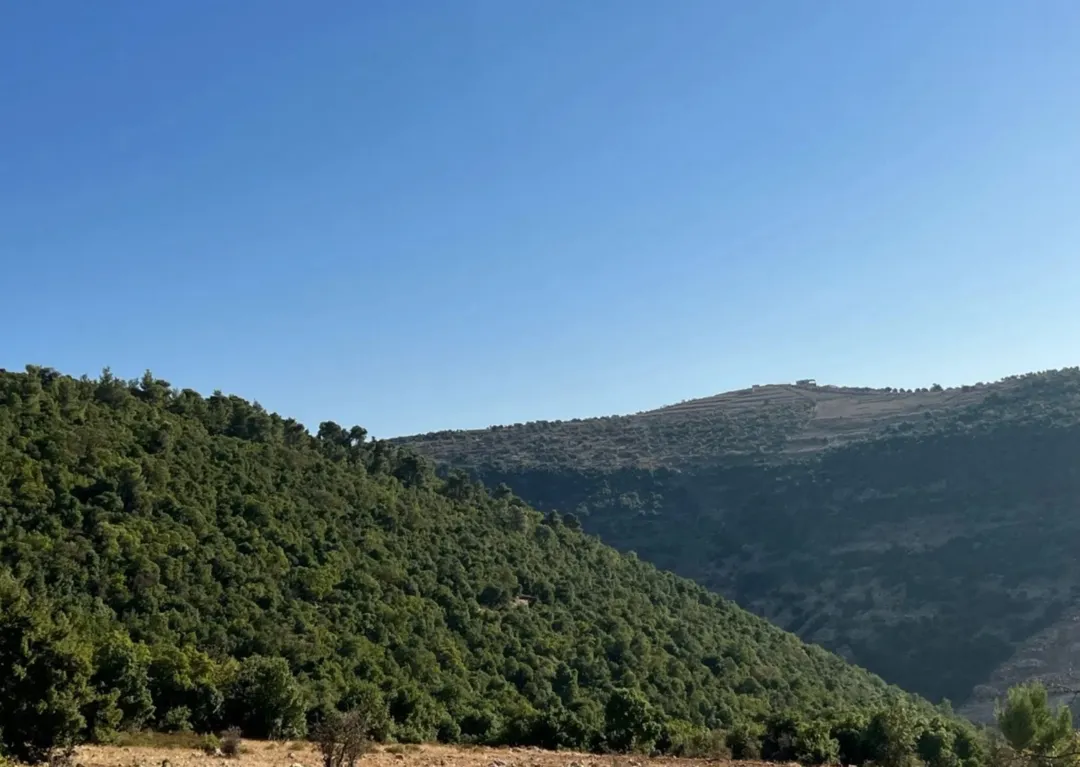 شالية فاخر بنظام الكوخ في غابات عجلون الخلابة
