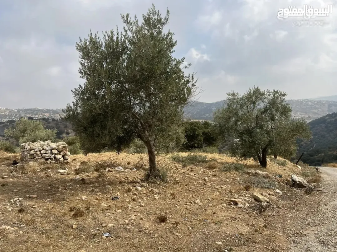 قطعة أرض للبيع في بدر الجديدة – السويسة مساحة واسعة 4500 متر مربع