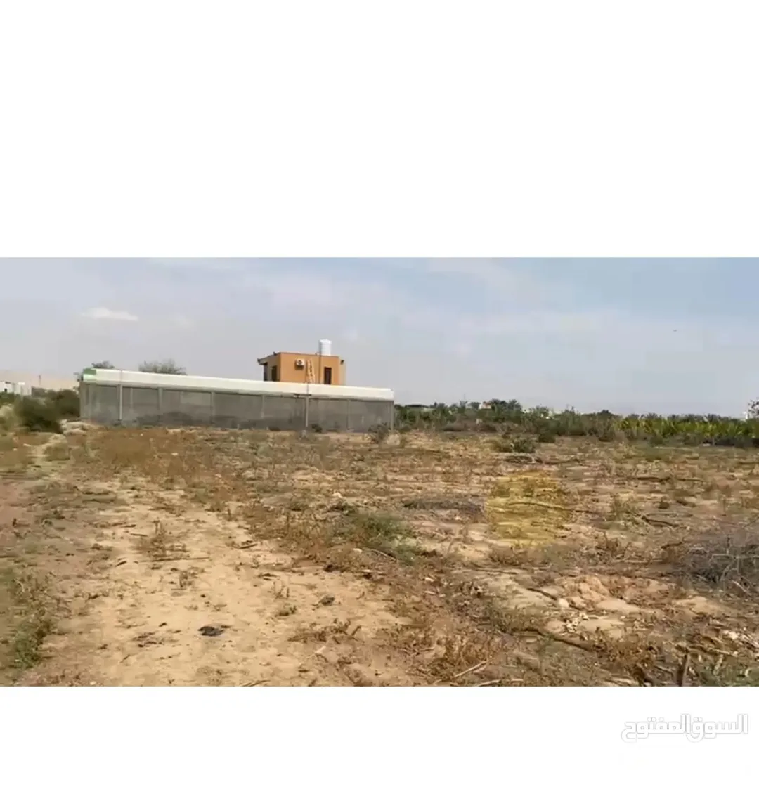 أرض سكنية مميزة للبيع في الشونة الجنوبية – غور نمرين