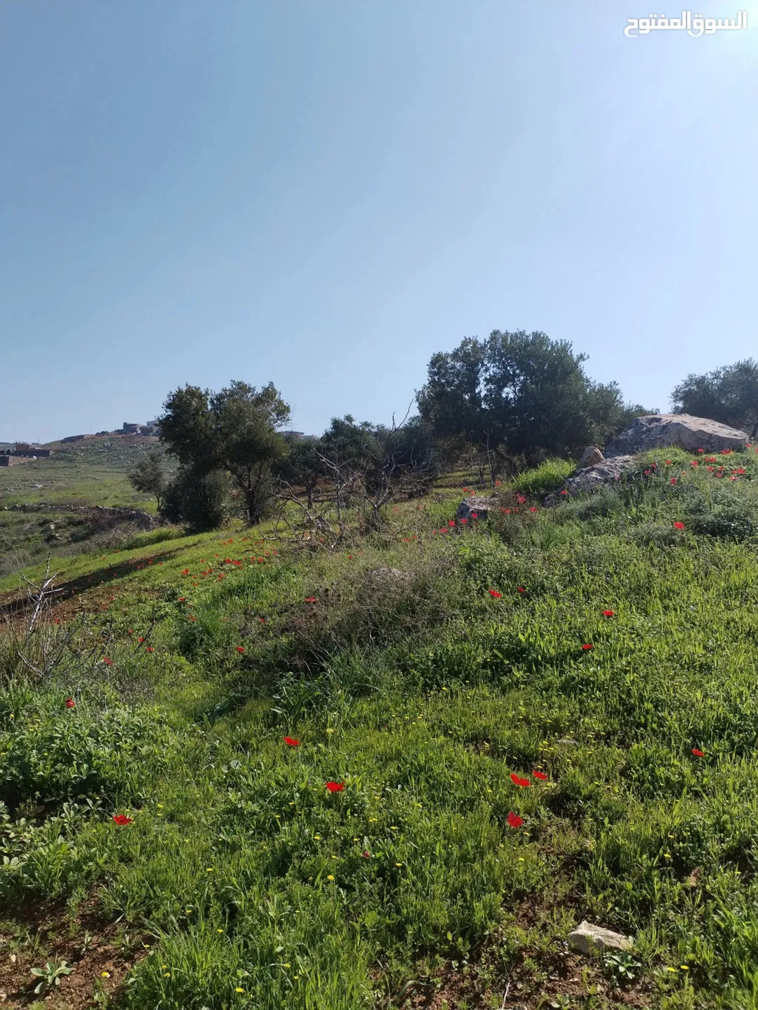 قطعة أرض مميزة في حوض أم خنوس قريبة من شارع جرش عمان