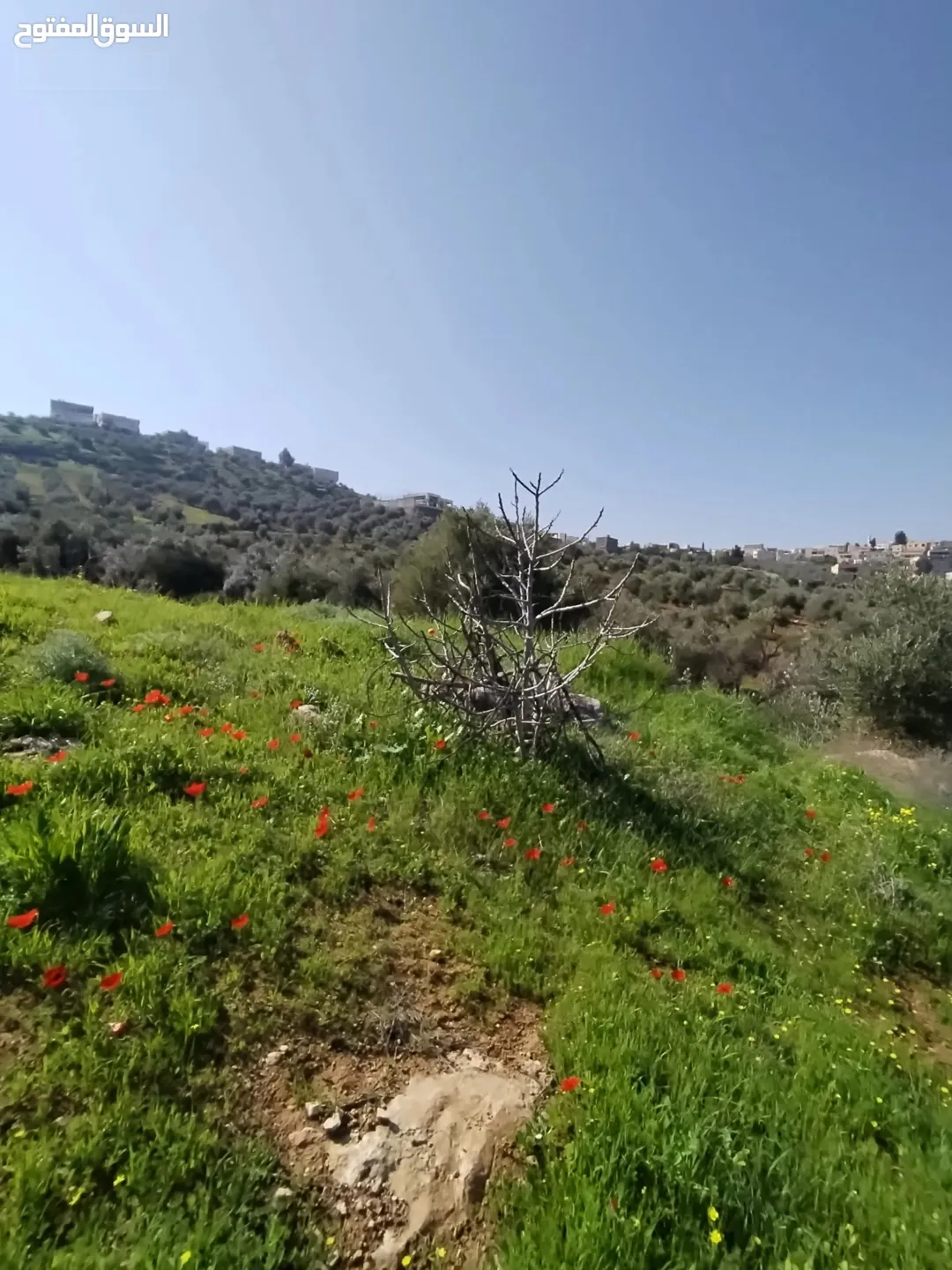قطعة أرض مميزة في حوض أم خنوس قريبة من شارع جرش عمان
