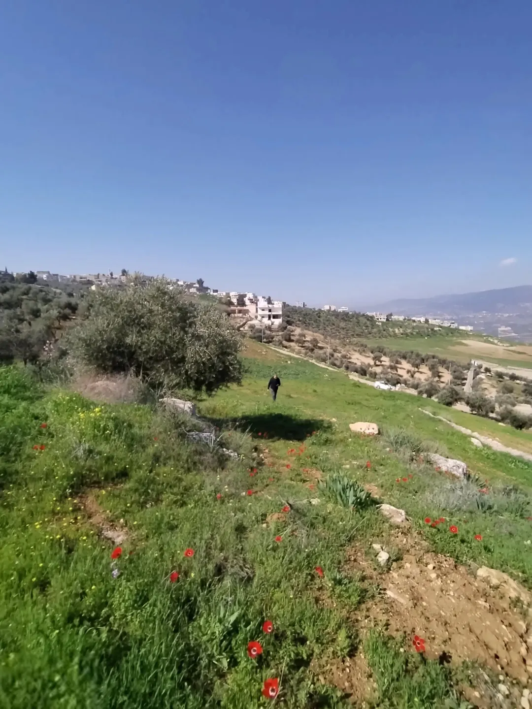 قطعة أرض مميزة في حوض أم خنوس قريبة من شارع جرش عمان