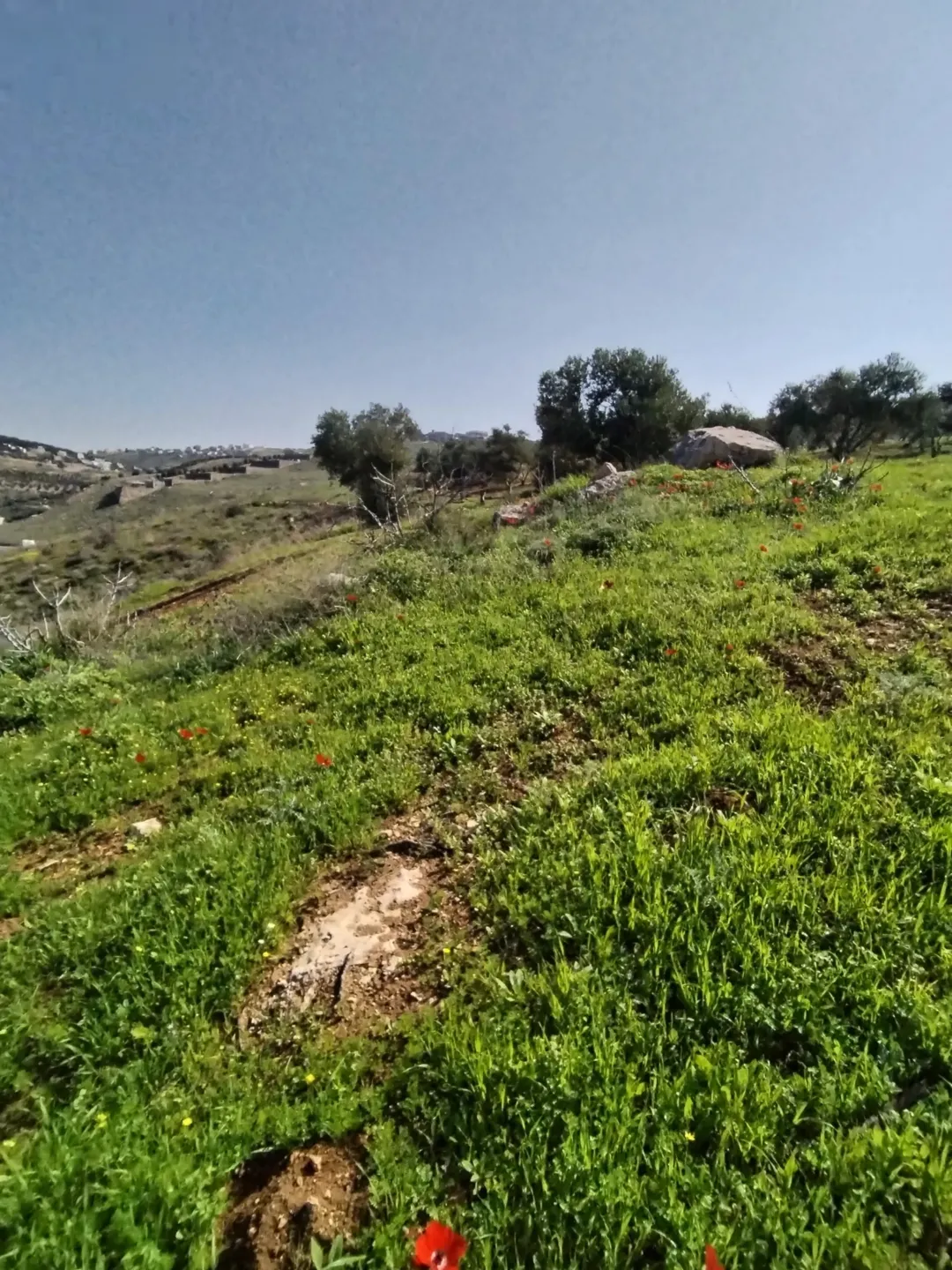 قطعة أرض مميزة في حوض أم خنوس قريبة من شارع جرش عمان
