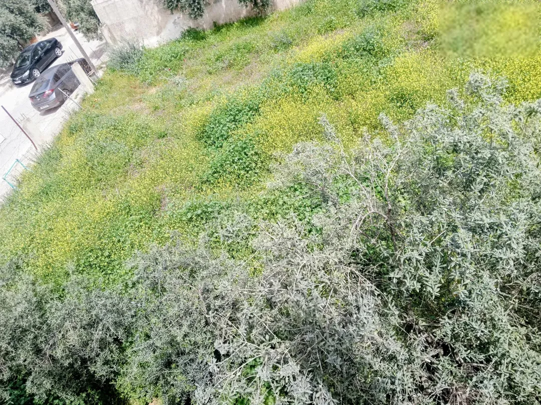 قطعة أرض للبيع في الأردن محافظة اربد المنطقة الشمالية