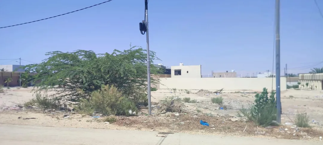 أرض للبيع 725 متر مباشرة — صورة 2