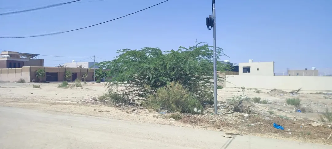 أرض للبيع 725 متر مباشرة