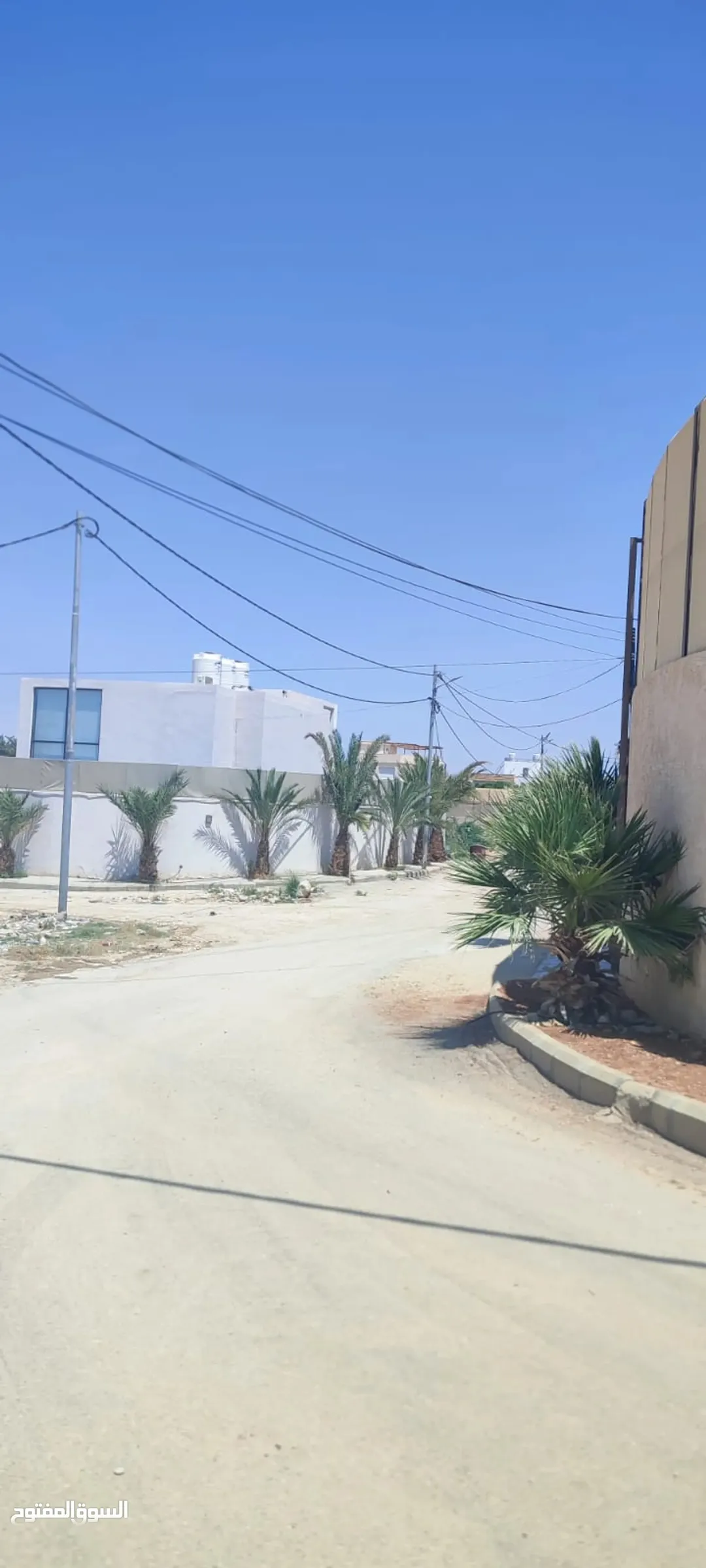 أرض للبيع 725 متر مباشرة — صورة 3