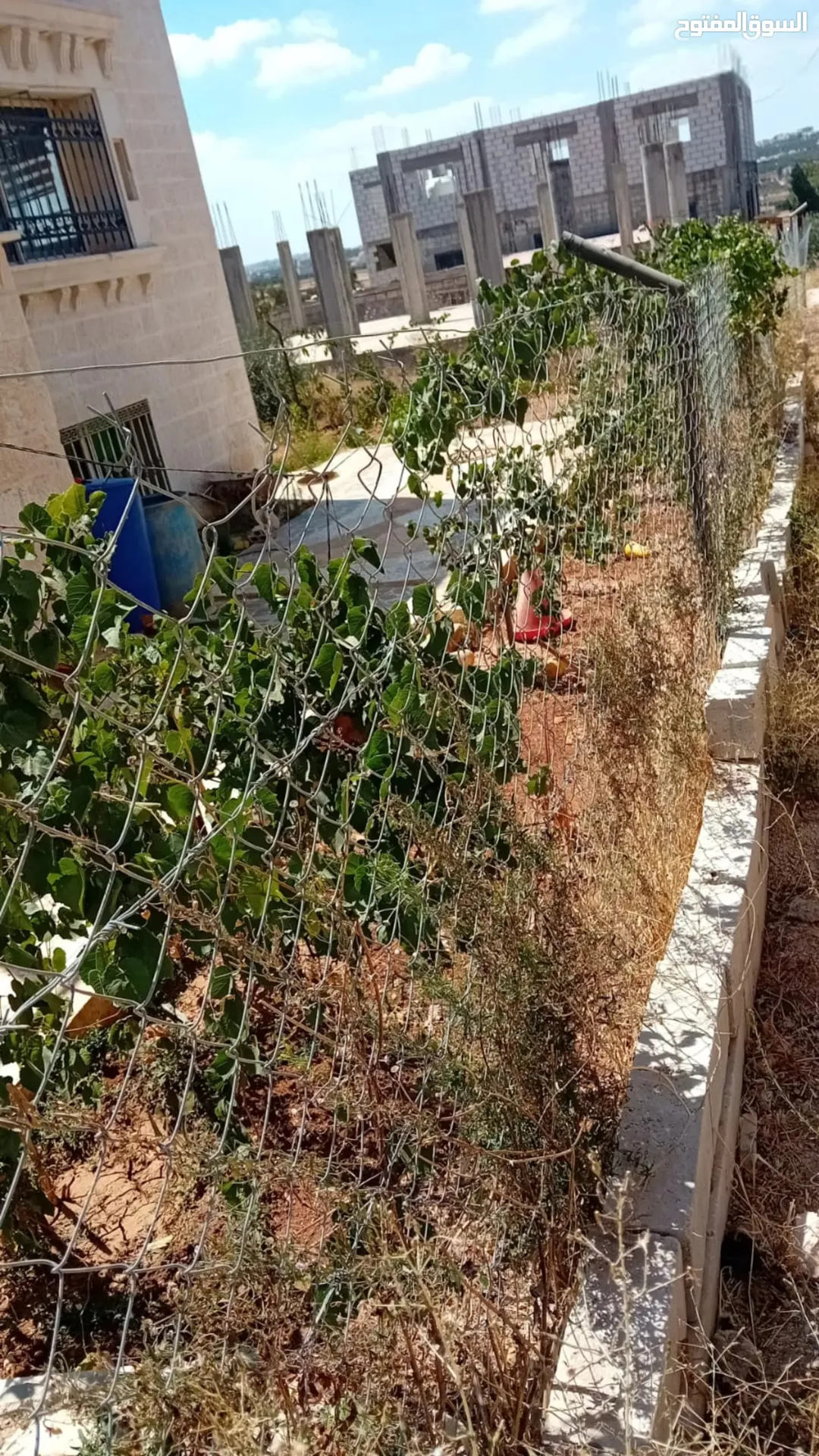قطعة أرض للبيع دفعة واحدة أو على أقساط
