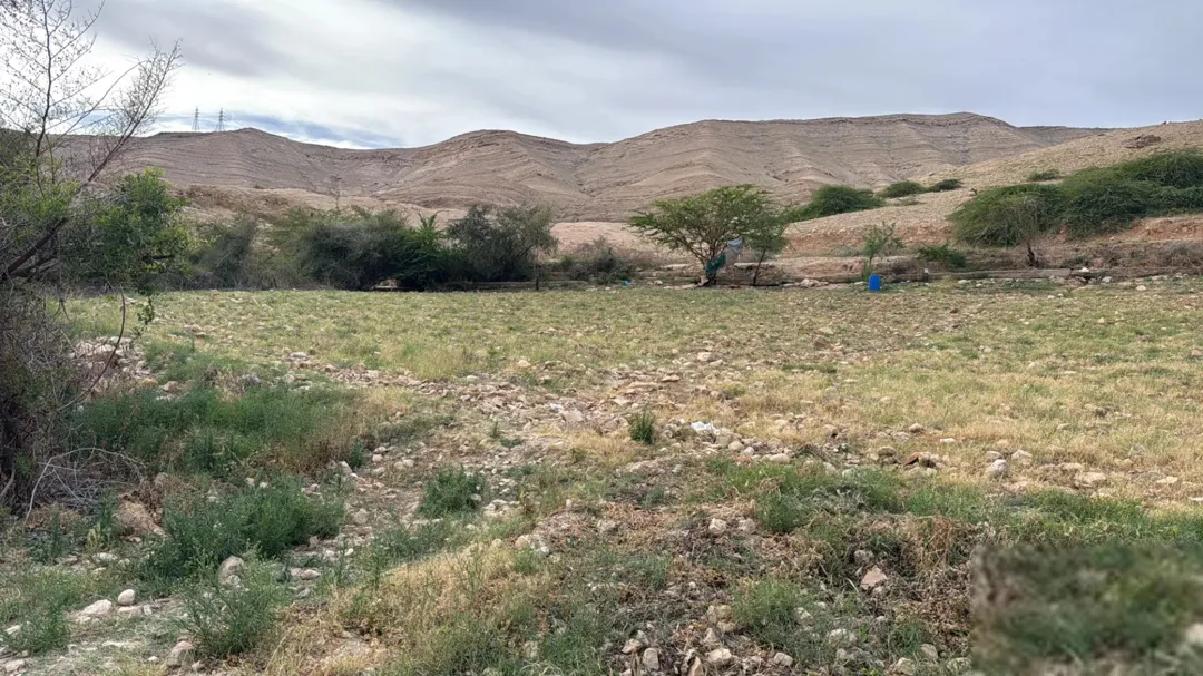 أرض زراعية مميزة على سيل وادي شعيب – حوض بلال غرب عمان