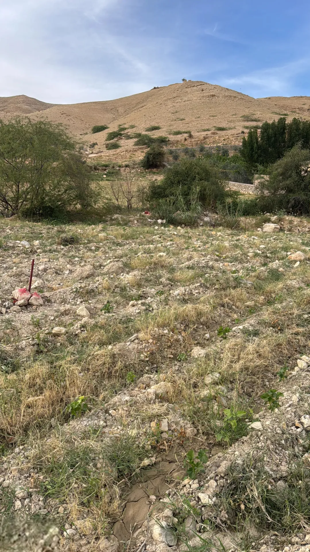 أرض زراعية مميزة على سيل وادي شعيب – حوض بلال غرب عمان