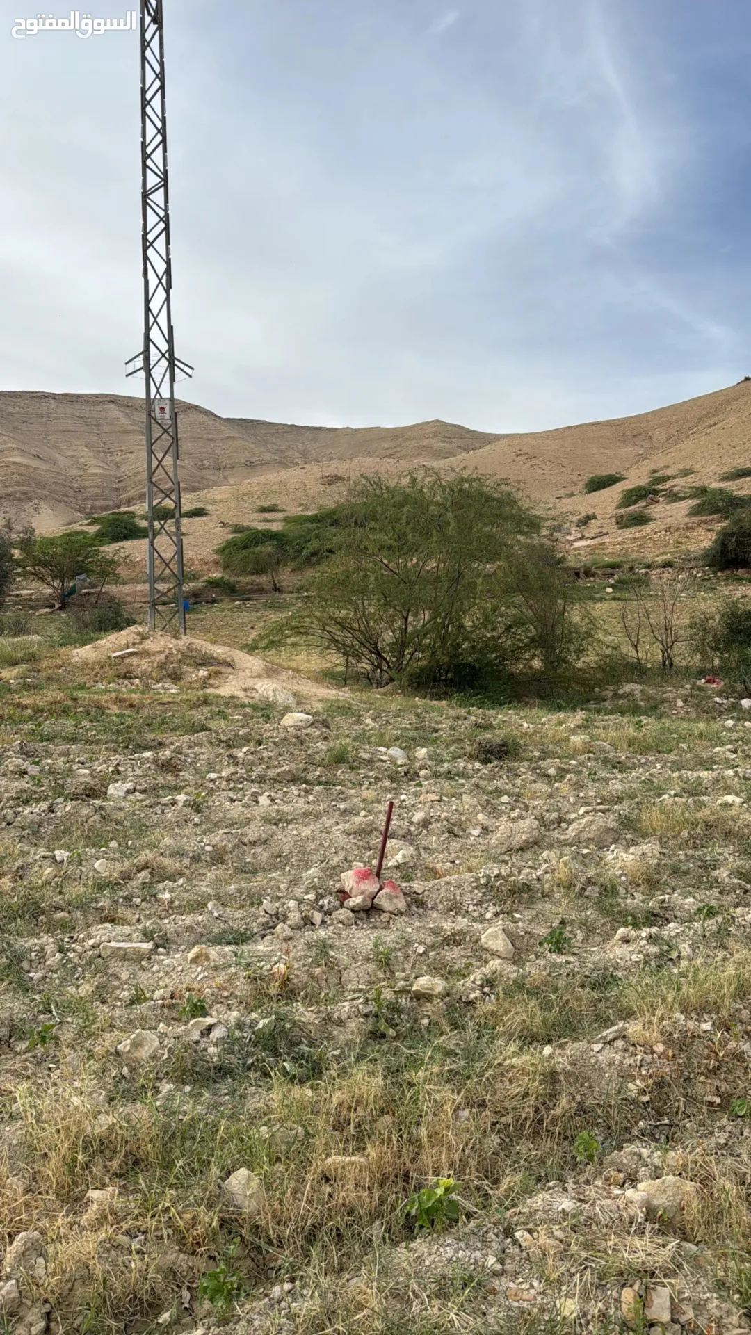 أرض زراعية مميزة على سيل وادي شعيب – حوض بلال غرب عمان