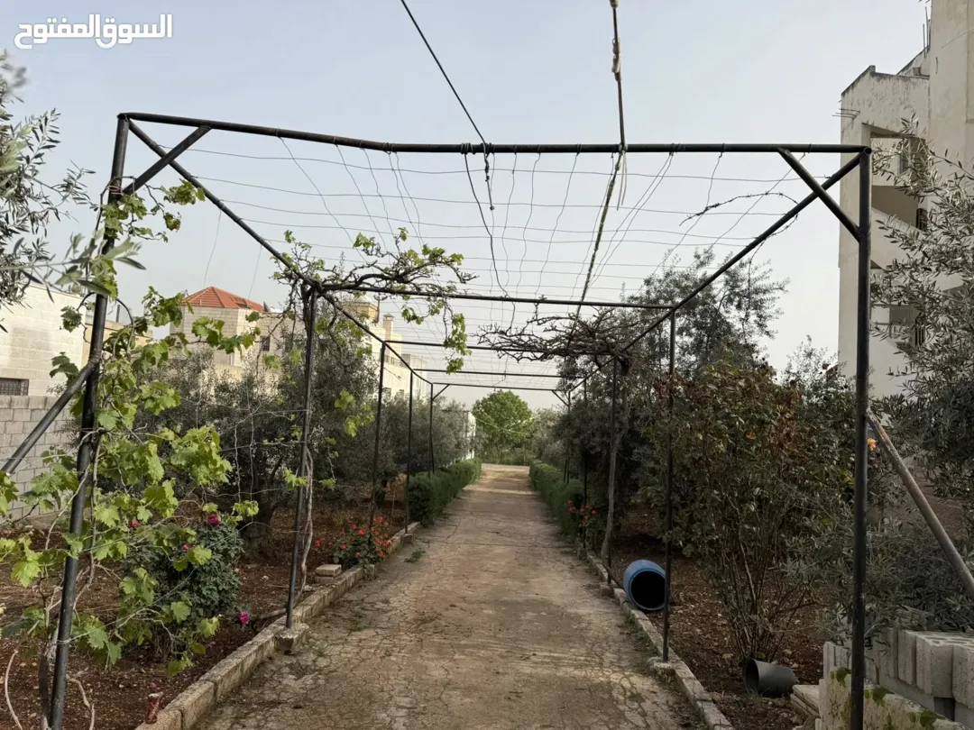 منزل شبه مزرعة