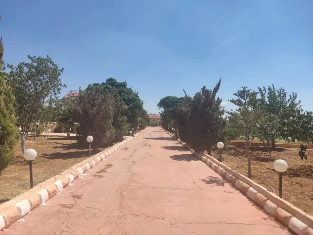 مزرعة مادبا حواره جنة استثمارية للبيع