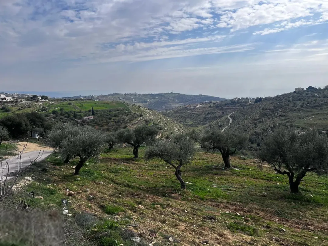 : أرض مطلة 8.8 دنم في المغاريب – السلط