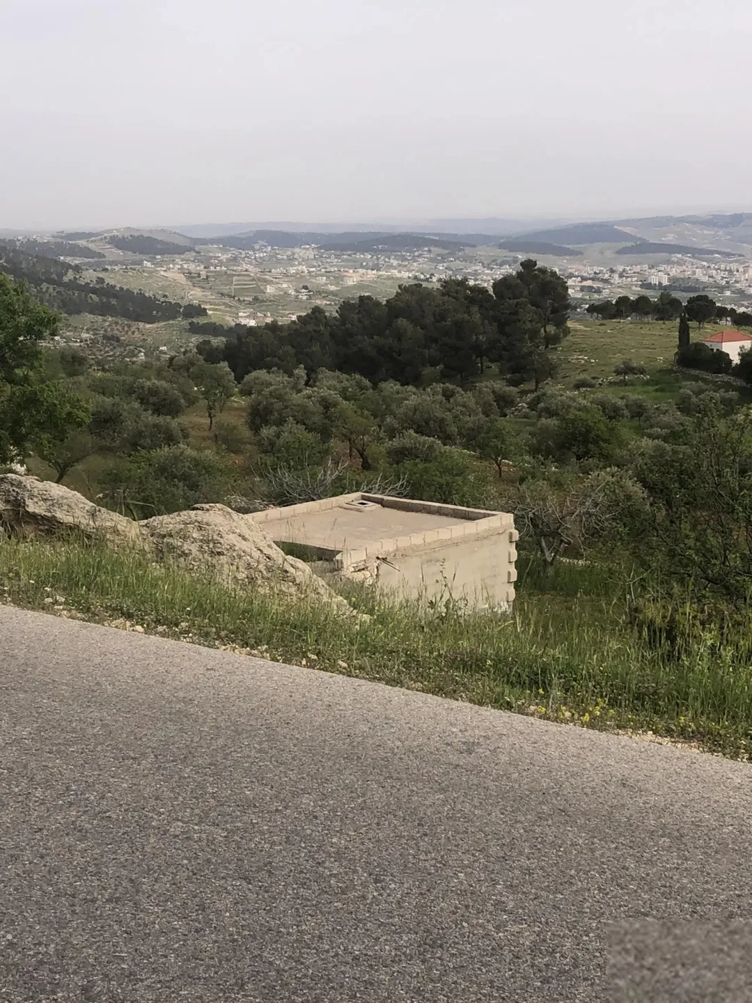 أرض زراعية غناء تضم أشجار الزيتون والتين والكرز واللوز والخوخ